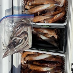 8月 9日（日）一日便・スルメイカ釣りの写真その10