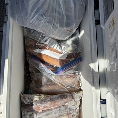 8月 9日（日）一日便・スルメイカ釣りの写真その11