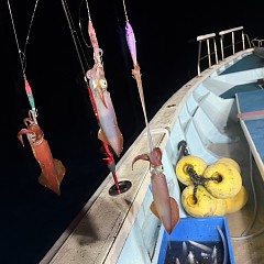 イカメタルの写真その3