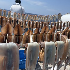 8月 10日（月）一日便・スルメイカ釣りの写真その7