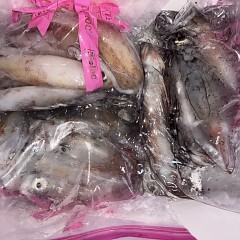 8月 10日（月）イカメタル便の写真その8