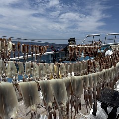 8月 11日（火）一日便スルメイカ釣りの写真その6
