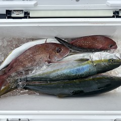 8月12日（水）午前便・タテ釣りの写真その6