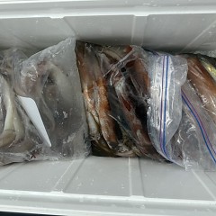 8月 15日（土）一日便・スルメイカ釣りの写真その11