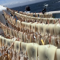 8月 16日（日）一日便・スルメイカ釣りの写真その6