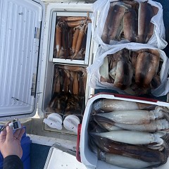 8月 16日（日）一日便・スルメイカ釣りの写真その7