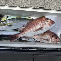 8月16日（日）午前便・タテ釣りの写真その6