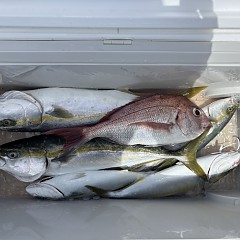8月16日（日）午前便・タテ釣りの写真その8