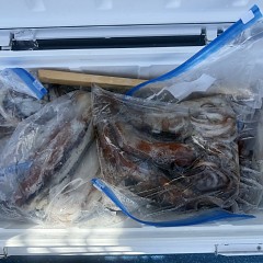 8月 17日（月）一日便・スルメイカ釣りの写真その8