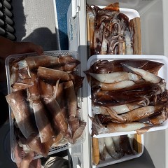 8月 17日（月）一日便・スルメイカ釣りの写真その10