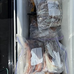 8月 19日（水）一日便・スルメイカ釣りの写真その12
