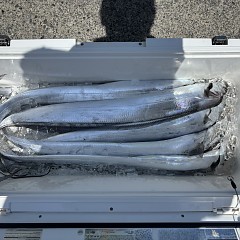 8月20日（木）午前便・タチウオ釣りの写真その6