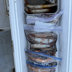 8月 21日（金）一日便・スルメイカ釣りの写真その11