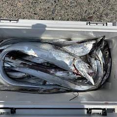 8月21日(金)午前便・タチウオ釣りの写真その5