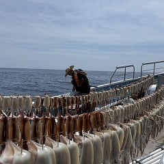 8月 22日（土）一日便・スルメイカ釣りの写真その7