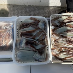 8月 22日（土）一日便・スルメイカ釣りの写真その8