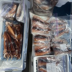 8月 22日（土）一日便・スルメイカ釣りの写真その9