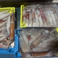 8月 22日（土）イカメタル便の写真その6