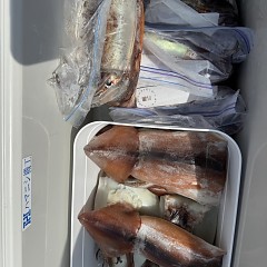 8月 23日（日）一日便・スルメイカ釣りの写真その8