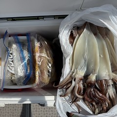 8月 23日（日）一日便・スルメイカ釣りの写真その10