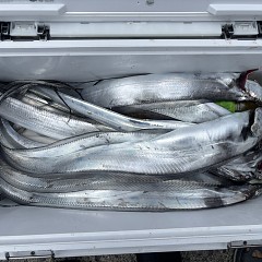 8月23日（日）午前便・タチウオ釣りの写真その4