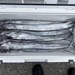 8月23日（日）午前便・タチウオ釣りの写真その5