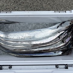 8月23日（日）午前便・タチウオ釣りの写真その7
