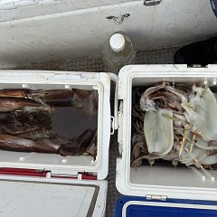 8月 27日（木）一日便・スルメイカ釣りの写真その7