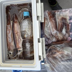 8月 27日（木）一日便・スルメイカ釣りの写真その9