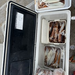 8月 27日（木）一日便・スルメイカ釣りの写真その11
