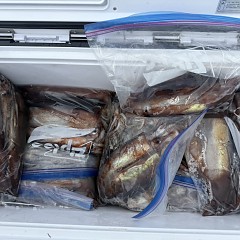 8月 27日（木）一日便・スルメイカ釣りの写真その12