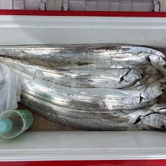 8月27日（木）午前便・タチウオ釣りの写真その5