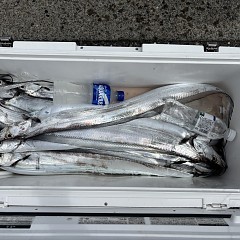 8月27日（木）午前便・タチウオ釣りの写真その7