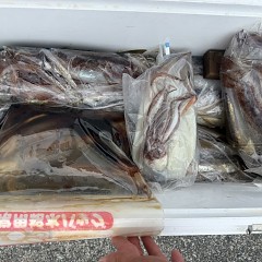 8月 28日（金）一日便・スルメイカ釣りの写真その4