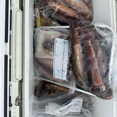 8月 28日（金）一日便・スルメイカ釣りの写真その6
