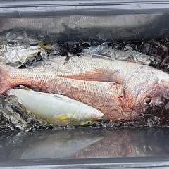 8月29日（土）午前便・タテ釣りの写真その4