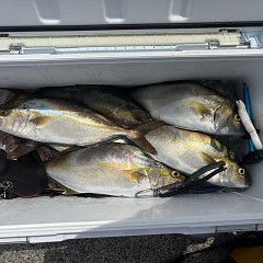 8月30日（日）午前・午後便・タテ釣りの写真その4