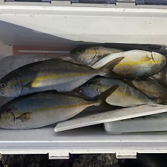 8月30日（日）午前・午後便・タテ釣りの写真その5