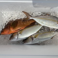 8月30日（日）午前・午後便・タテ釣りの写真その6