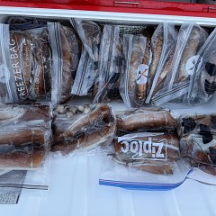 8月 30日（日）一日便・スルメイカ釣りの写真その9
