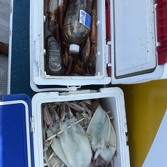 8月 30日（日）一日便・スルメイカ釣りの写真その11