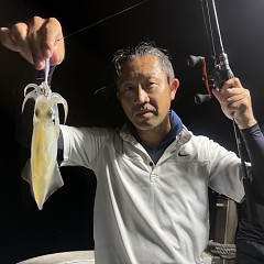 8月29.30日 イカメタル便の写真その7