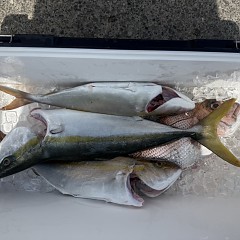 8月31日(月)午前便・タテ釣りの写真その8