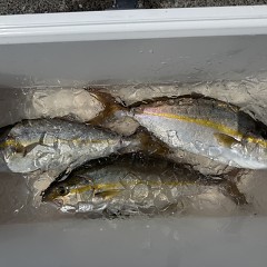 8月31日(月)午前便・タテ釣りの写真その10