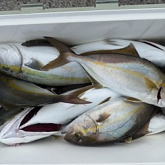 9月1日(火)午前便・タテ釣りの写真その11