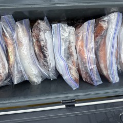9月 2日（水）一日便・スルメイカ釣りの写真その8