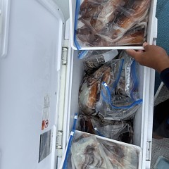 9月 3日（木）一日便・スルメイカ釣りの写真その1