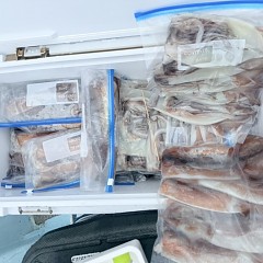 9月 3日（木）一日便・スルメイカ釣りの写真その2