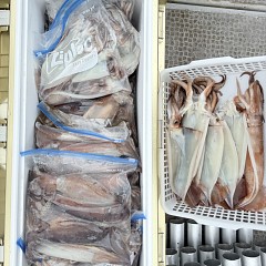9月 3日（木）一日便・スルメイカ釣りの写真その3