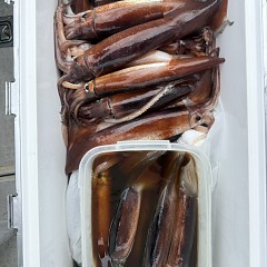 9月 3日（木）一日便・スルメイカ釣りの写真その6